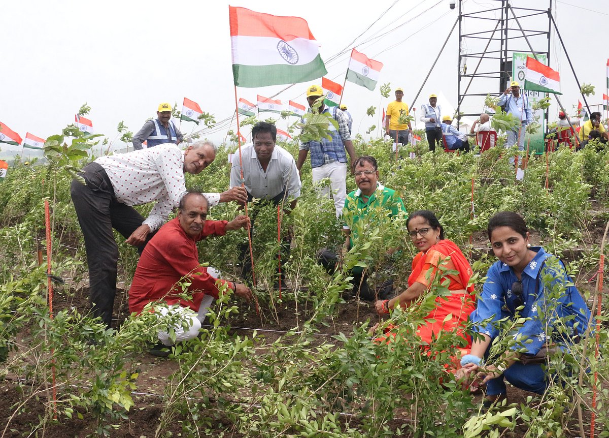 Families participate in the planation drive with Tricolour 